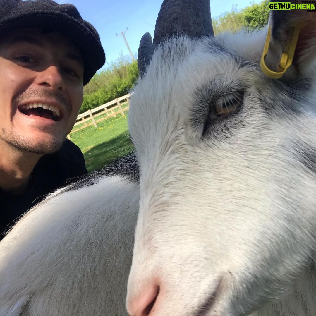 Giles Matthey Instagram - Photobombed Kevin the goat #goatlife #goatymcgoaterson @sohofarmhouse United Kingdom