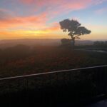 Giles Matthey Instagram – In the heavens. No filter no bs just perf a lerf nature