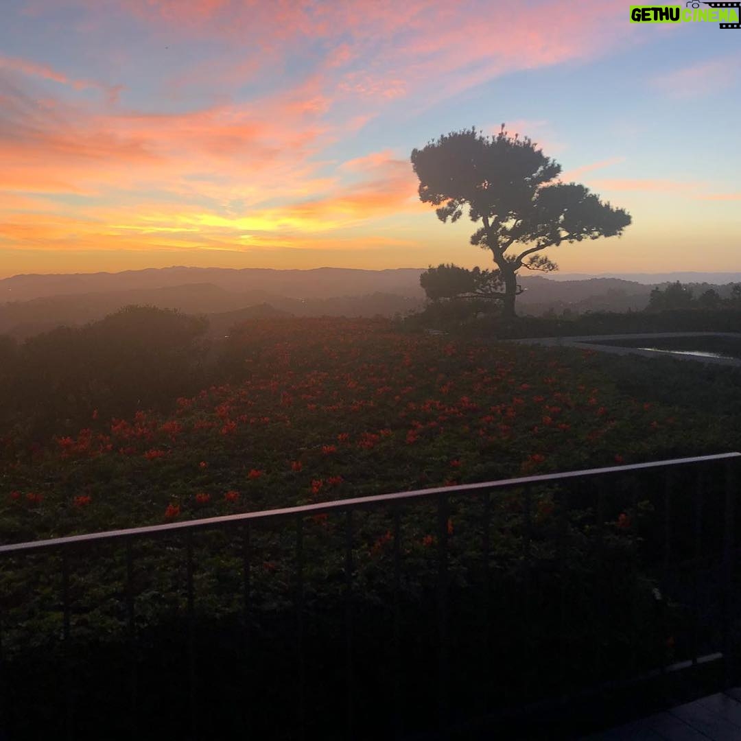 Giles Matthey Instagram - In the heavens. No filter no bs just perf a lerf nature