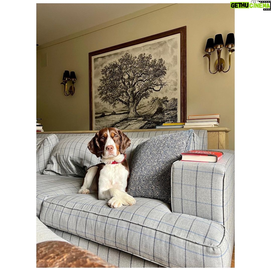 Ginnifer Goodwin Instagram - This is what I did in February and this is the chair in which I did it. Please leave your book recommendations in the comments (especially if they are full of cozy villages full of cozy murders.) #mcbeaton