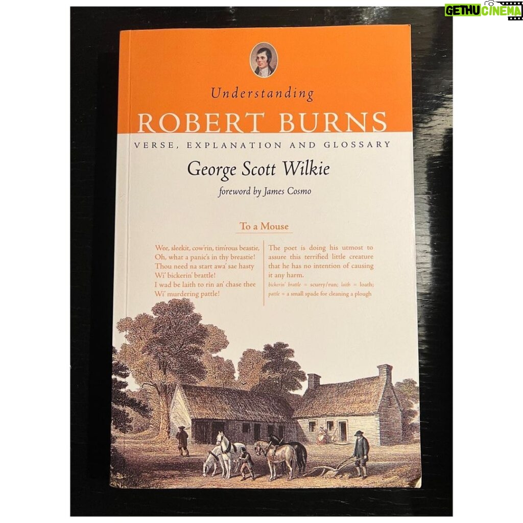 Ginnifer Goodwin Instagram - Robert Burns is my hall pass. Slàinte Mhath! #burnsnight