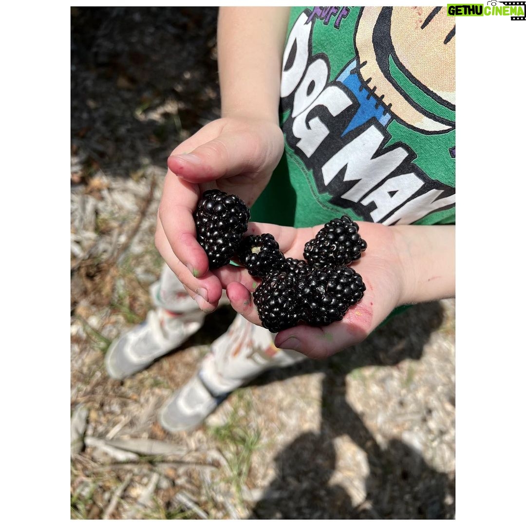 Ginnifer Goodwin Instagram - We go picking at a picking farm because I’m the sh*ttest gardener. Dear Green Thumbs, fruit and veg advice is welcome. P.S. They are from @quail_ceramics.