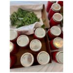 Ginnifer Goodwin Instagram - Best. Party. Ever. #canning
