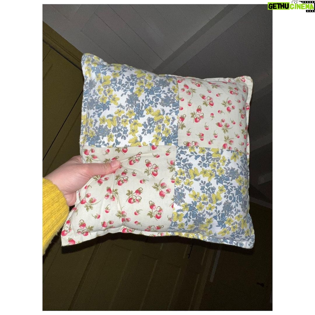 Ginnifer Goodwin Instagram - I got a machine! I made a thing! Speaking of making things, I am looking for a soup cookbook if you have a recommendation, please. #sewistsofinstagram #sewing #sewingmachine