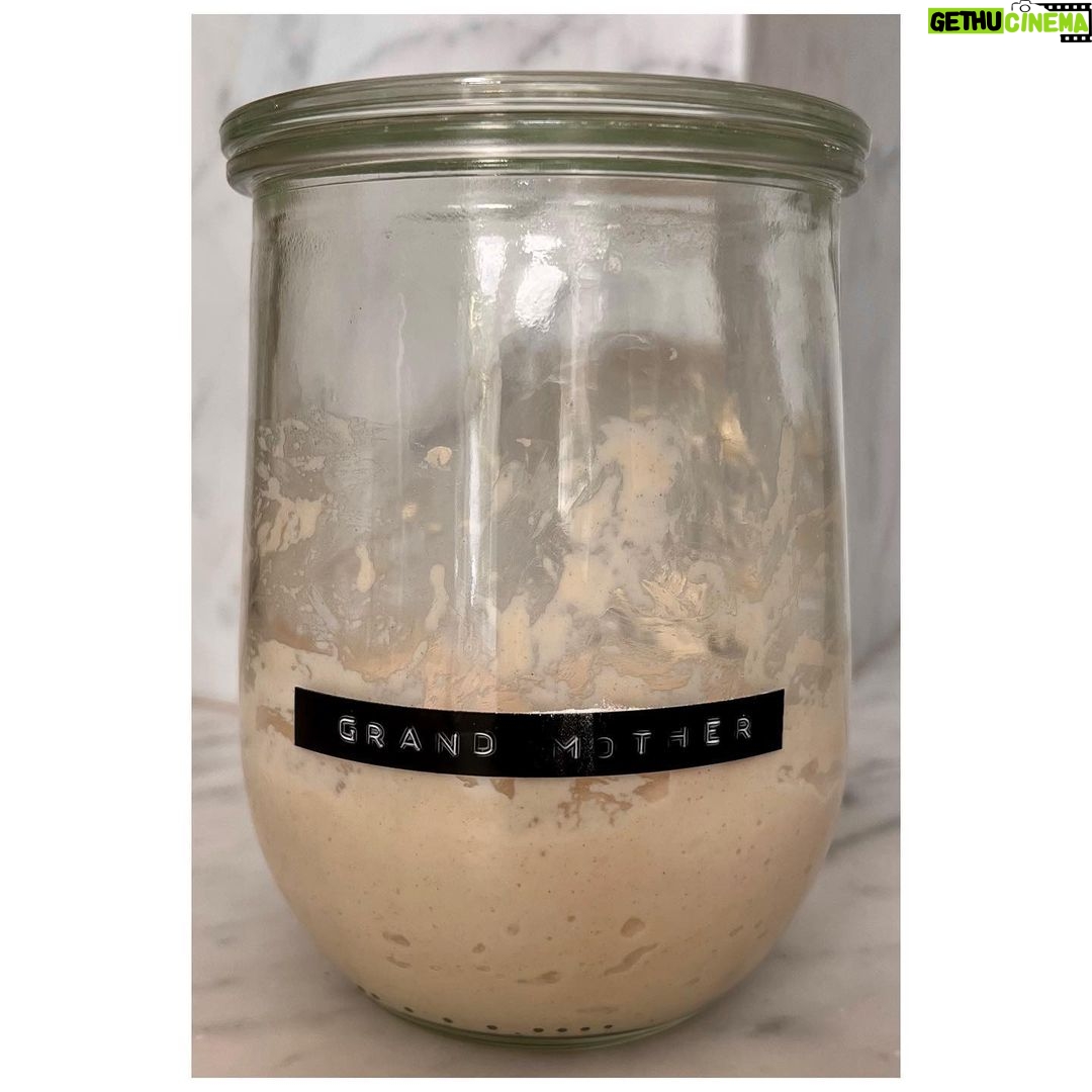 Ginnifer Goodwin Instagram - 1. I had a surfeit of red onions, so @bonappetitmag told me to dissolve 1 T sugar and 1 1/2 t kosher salt into 1/2 c apple cider vinegar and 1 c of water, and to pour all of this over a sliced red onion in a jar. An hour later, I had refrigerator pickled-onions (for 2 weeks.) Then I stole cucamelons, also called mouse melons, from the garden of @jennifer_makes_ceramics and found the recipe by @deannacat3 — thanks, @ellevdee — for Pickled Cucamelons: Easy Refrigerator Pickles. So now I have refrigerator pickled-cucamelons (for 2 months, but I’ll eat a jar in 2 sittings.) Anyone have a beloved pickled eggs recipe for @gracielee75 and me, please? 2-3. St. Mary Knead has a new housemate. She was born in 1918 — NINETEEN… EIGHTEEN... she has seen Some Things — so she basically bakes her own bread. I’m calling her Grand Mother. 4. These are honey lemonade ice cubes. How on earth are y’all keeping cool in this hairdryer?! #pickles #sourdough #starter
