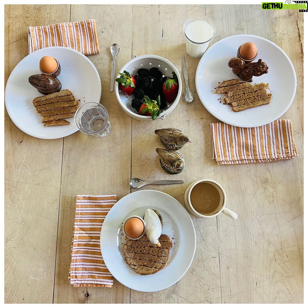 Ginnifer Goodwin Instagram - We go picking at a picking farm because I’m the sh*ttest gardener. Dear Green Thumbs, fruit and veg advice is welcome. P.S. They are from @quail_ceramics.