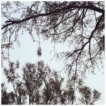 Ginnifer Goodwin Instagram - This is almost-45.
