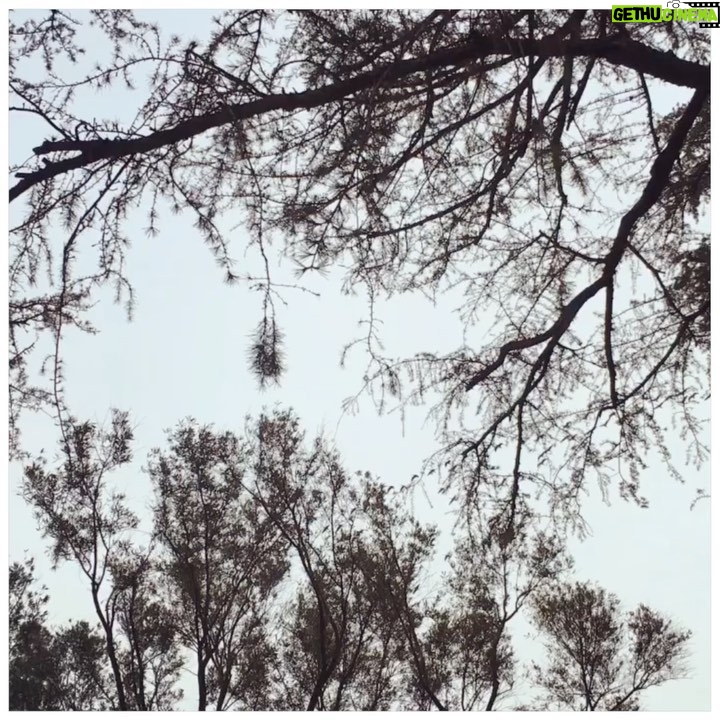Ginnifer Goodwin Instagram - This is almost-45.
