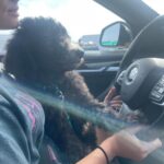 Giorgia Whigham Instagram -