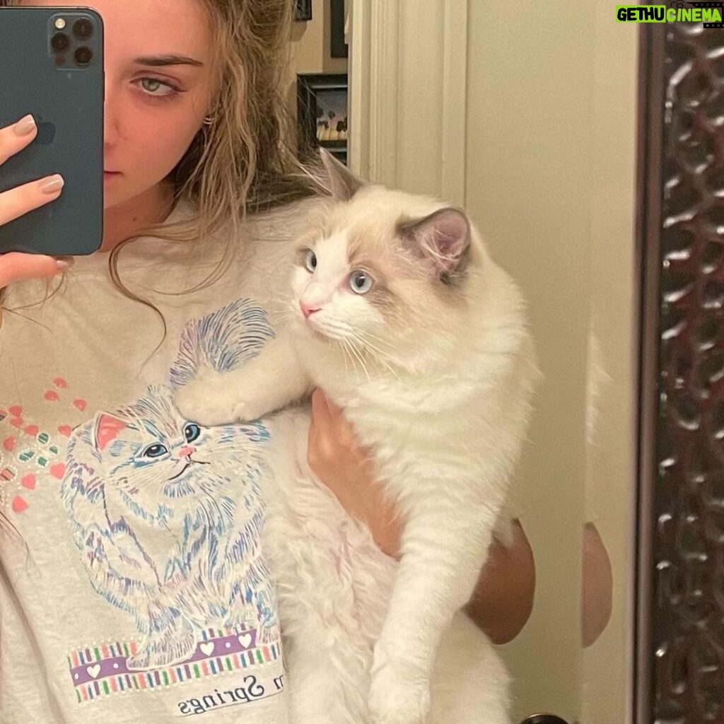 Giorgia Whigham Instagram - ❣️Lieutenants handsome shirt matching debut etc🌵🐱❣️ and a lil tribute to the dogs RIP Boris you beautiful pup I miss you mr. man🐶