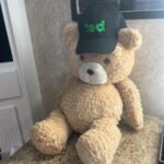 Giorgia Whigham Instagram - Bennett family 💚 countdown to Ted on @peacock January 11th 💚🐻