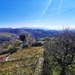 Giorgia Wurth Instagram - Spello alle mie spalle E poi su su, fino a #Collepino. Per pensare meno Per pensare meglio Per affidarsi agli ulivi Che paradiso che è l'Umbria #sentierodellacquedotto #festivaldispello #spello #umbria #ioluiealtrieffetticollaterali #graziemerda è