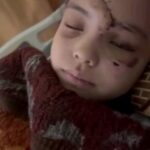 Giorgia Wurth Instagram - Guardate gli occhi di questa bambina palestinese di 9 anni. Il medico le sta chiedendo quale sia il suo sogno. Lei risponde: che la guerra finisca. Per sempre. E i suoi occhi si accendono di una luce che acceca tanto è potente. Lei è il bersaglio delle bombe di Israele, Casa Bianca e Commissione Europea. Conoscete qualcuno di più vigliacco e schifoso? @giorgiameloni @europeancommission @ursulavonderleyen #stopgenocide