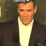 Giorgia Wurth Instagram - Dai dai @giorgiameloni magari ci arrivi anche tu. Sbrigati però perché li stanno (li state) sterminando tutti. @europeanparliament #stopgenocide #freepalestine