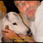 Giovanna Ewbank Instagram - AMORES do GIOOOH! O vídeo de hoje é muito especial! 🥹 Fico emocionada só de ver de novo. Nós resgatamos o Octávio na *semana passada* junto com o @garranimal mas ele já é amado demais aqui. Olha como é mansinhoooooo 💕 Vem ver no link da bio! Hoje e toda terça-feira, às 19h, tem vídeo novo no canal @Gioh_Oficial! Se inscreve lá! #canalgioh #giohnoyoutube #resgate #ranchodamontanha