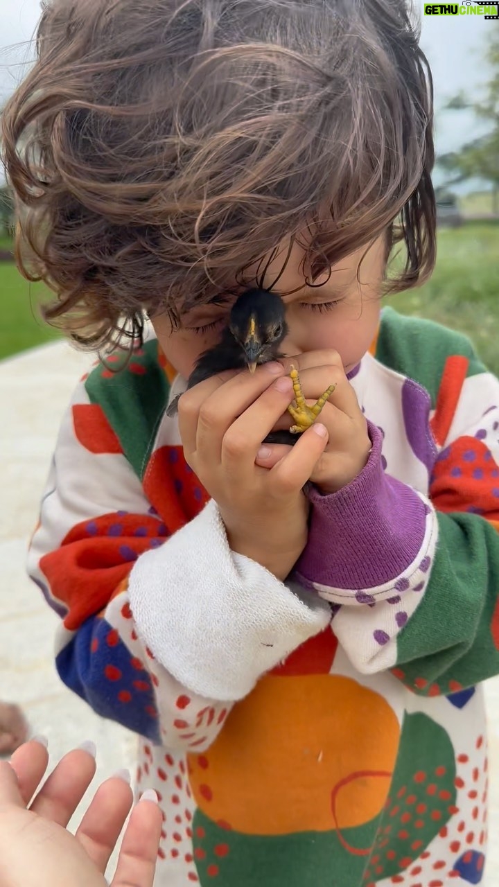 Giovanna Ewbank Instagram - É emocionante ver o amor do nosso Baby Z com a natureza e os animais. E ver que o que nós temos construído para os nossos filhos tem se aflorado cada dia mais na vida deles! Esse vídeo é um pouquinho do que vivemos nesse final de semana no @ranchodmontanha 💕