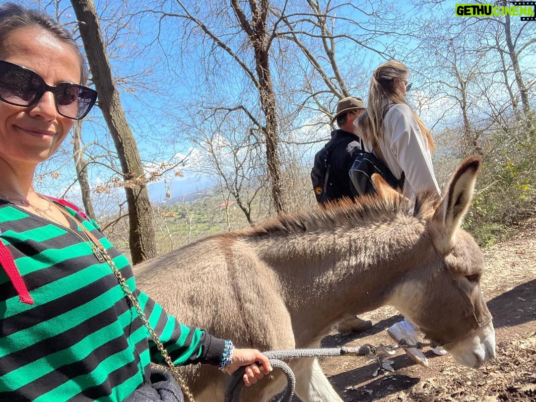 Giulia Mizzoni Instagram - Asinelli di Veio ♥️☀️ Sacrofano
