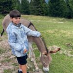 Giulia Mizzoni Instagram - La mia amata Ortisei ⛰ e un pochino di #familytime❤️ Voi dove state? #montagna #passeggiata #passeggiatainfamiglia #passeggiatainmontagna #family #familytime #familytrip #estateinmontagna #freddo #summer #summertime Ortisei, Italy