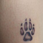 Giulia Mizzoni Instagram - Mattinata da temeraria… e di amori infiniti 𝓟𝓕 💕♾️🐾 @francesco_di.stefano_ Grazie @fabriziolaitattoo @st.petersinktattooshop per la pazienza e la mano da fatina 🧚😂 Borgo Pio