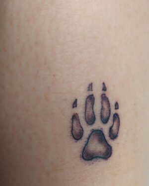 Giulia Mizzoni Instagram - Mattinata da temeraria… e di amori infiniti 𝓟𝓕 💕♾️🐾

@francesco_di.stefano_ 

Grazie @fabriziolaitattoo @st.petersinktattooshop per la pazienza e la mano da fatina 🧚😂