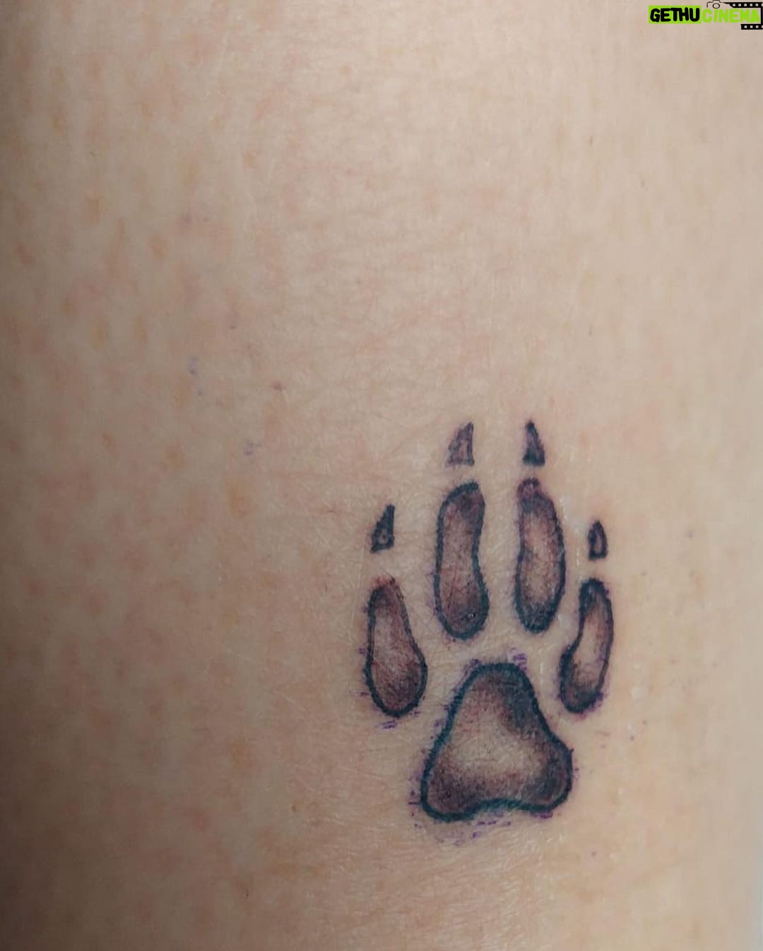 Giulia Mizzoni - 2K Likes - Mattinata da temeraria… e di amori infiniti 𝓟𝓕 💕♾️🐾
@francesco_di.stefano_
Grazie @fabriziolaitattoo @st.petersinktattooshop per la pazienza e la mano da fatina 🧚😂