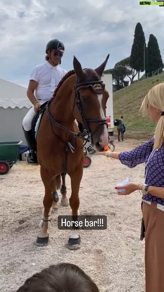 Giulia Mizzoni Instagram - Grazie @saveahorseitalia e @natalechiaudani! Cambiare dal profondo la cultura delle persone sul trattamento del cavallo si può... anche in ambito sportivo. Non è sano demonizzare gli sport equestri ma è giusto cambiare il modello di cura e preparazione all’attività sportiva. L’horse bar è un modo semplice ma molto efficace per trasferire questo messaggio, basta una mela o una carota per prendersi cura del cavallo anche al termine di un momento altamente adrenalinico come quello della gara. Come un atleta al termine della competizione reintegra i sali minerali e si concede un momento per scaricare lo stress, allo stesso modo il cavallo riceve una coccola benefica da tutti i punti di vista. @salveahorseitalia si occupa del benessere del cavallo a 360 gradi. Dal recupero dell’animale maltrattato, alla sua riabilitazione che resistituisce quella dignità persa a causa dei maltrattamenti, fino al reinserimento dell’animale anche nel mondo dello sport, insegnato senza l’utilizzo di alcuna forma di coercizione o violenza. #horse #savehorses #longinesglobalchampionstour #love #animals #family #familytime