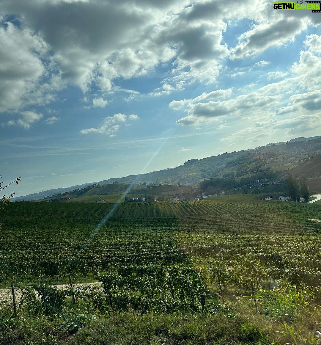 Giulia Mizzoni Instagram - Amo il tartufo e non ero mai stata ad #alba… gli odori, i sapori, i colori di questa terra mi hanno incantata. La passione per il buon cibo, la dedizione al lavoro di @cascinadellerose e i loro vini squisiti. La condivisione di qualche momento tutto per noi con @francescod.stefano (ci voleva dopo oltre un anno 🥰) e la compagnia speciale (a parte il pisolino a cena che ormai è un must 😂) di @giu.lillo.beppe.ciccio e @sami_amico. Tornerò presto. 🍷♥️🍇 #alba #piemonte #fierainternazionaledeltartufobiancodalba #vino #barbera #barolo #nebbiolo #tartufo #weekend #love #friends #happy #grateful Alba, Piemonte, Italy
