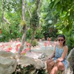 Gloria de Paula Instagram - 🦩🦜🐬🥰 Xcaret México