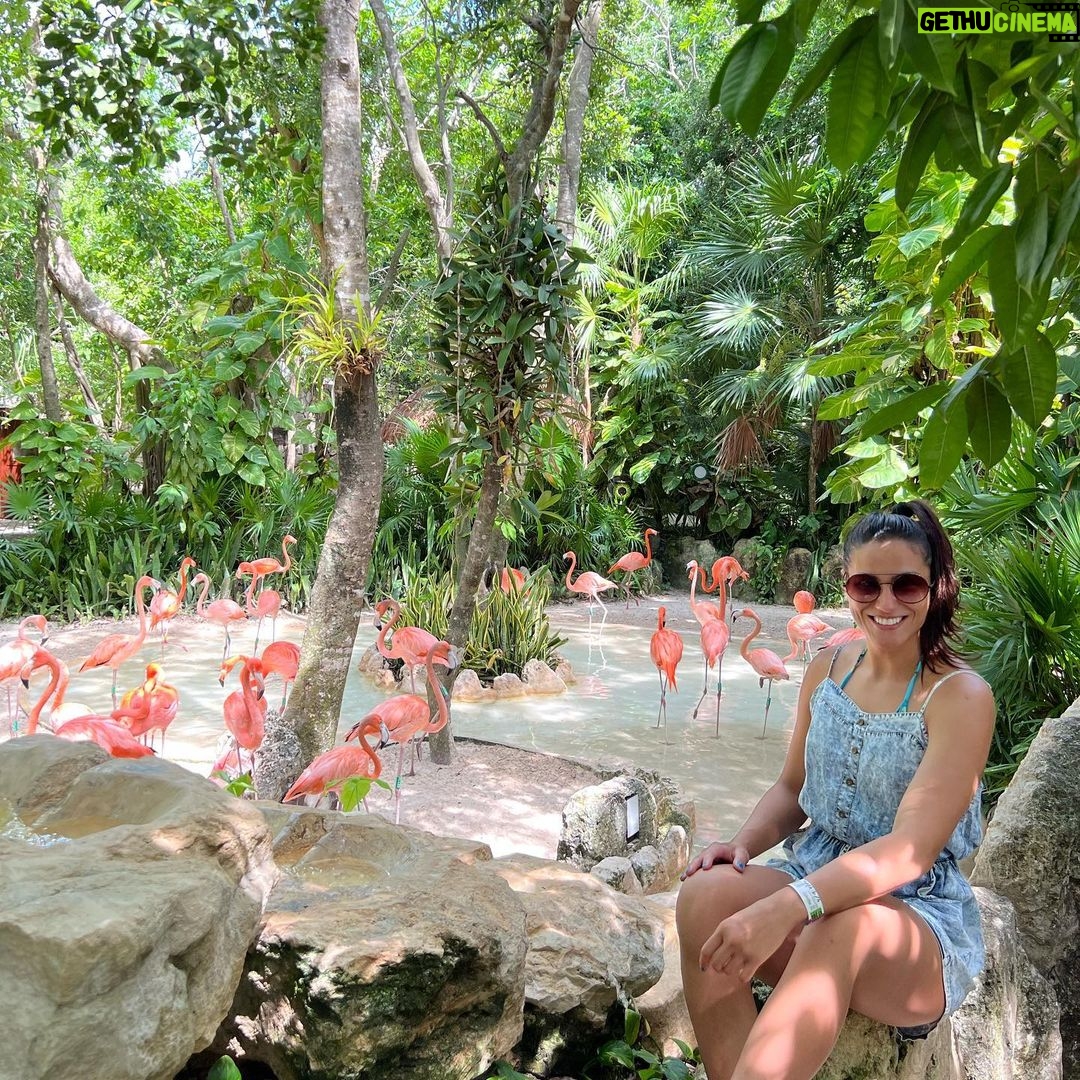 Gloria de Paula Instagram - 🦩🦜🐬🥰 Xcaret México