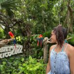 Gloria de Paula Instagram - 🦩🦜🐬🥰 Xcaret México