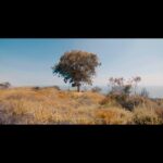 Gordon Winarick Instagram - IN BETWEEN The essence of existence is a delicate balance between everything and nothing. The in between. If we move too fast, we miss it all when it is right there. PRODUCED BY @winarickstudio @gordonwinarick DIRECTED BY @antonkhabbaz CO-DIRECTED BY @owen_solomon DIRECTOR OF PHOTOGRAPHY @owen_solomon LINE PRODUCTION @newfrontier.pictures CREATIVE @antonkhabbaz @gordonwinarick UPM @willbonnell COLOR @justinkmtang SOUNDTRACK @antonkhabbaz SOUND DESIGN @antonkhabbaz @owen_solomon Los Angeles, California