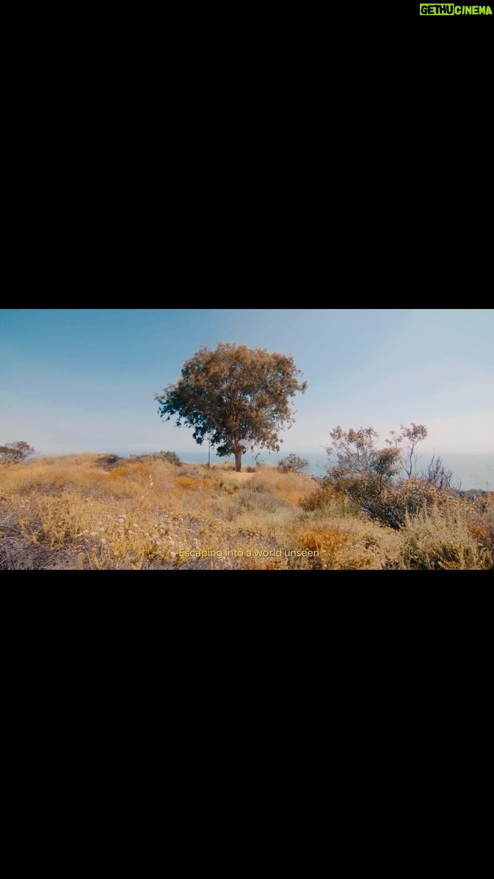 Gordon Winarick Instagram - IN BETWEEN The essence of existence is a delicate balance between everything and nothing. The in between. If we move too fast, we miss it all when it is right there. PRODUCED BY @winarickstudio @gordonwinarick DIRECTED BY @antonkhabbaz CO-DIRECTED BY @owen_solomon DIRECTOR OF PHOTOGRAPHY @owen_solomon LINE PRODUCTION @newfrontier.pictures CREATIVE @antonkhabbaz @gordonwinarick UPM @willbonnell COLOR @justinkmtang SOUNDTRACK @antonkhabbaz SOUND DESIGN @antonkhabbaz @owen_solomon Los Angeles, California