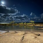 Gordon Winarick Instagram - 🪢🪢 Tamandaré, Pernambuco, Brazil