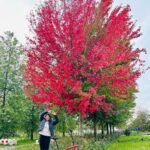 Grace Antony Instagram - Finding new leaves••🍁 . . . . #amsterdam #autumn #autumnvibes #autumnvibes🍁 #graceantony Amsterdam, Netherlands