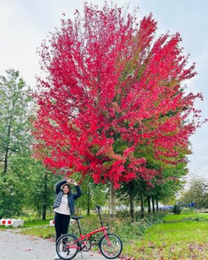 Grace Antony Instagram - Finding new leaves••🍁 
.
.
.
.
#amsterdam #autumn #autumnvibes #autumnvibes🍁 #graceantony