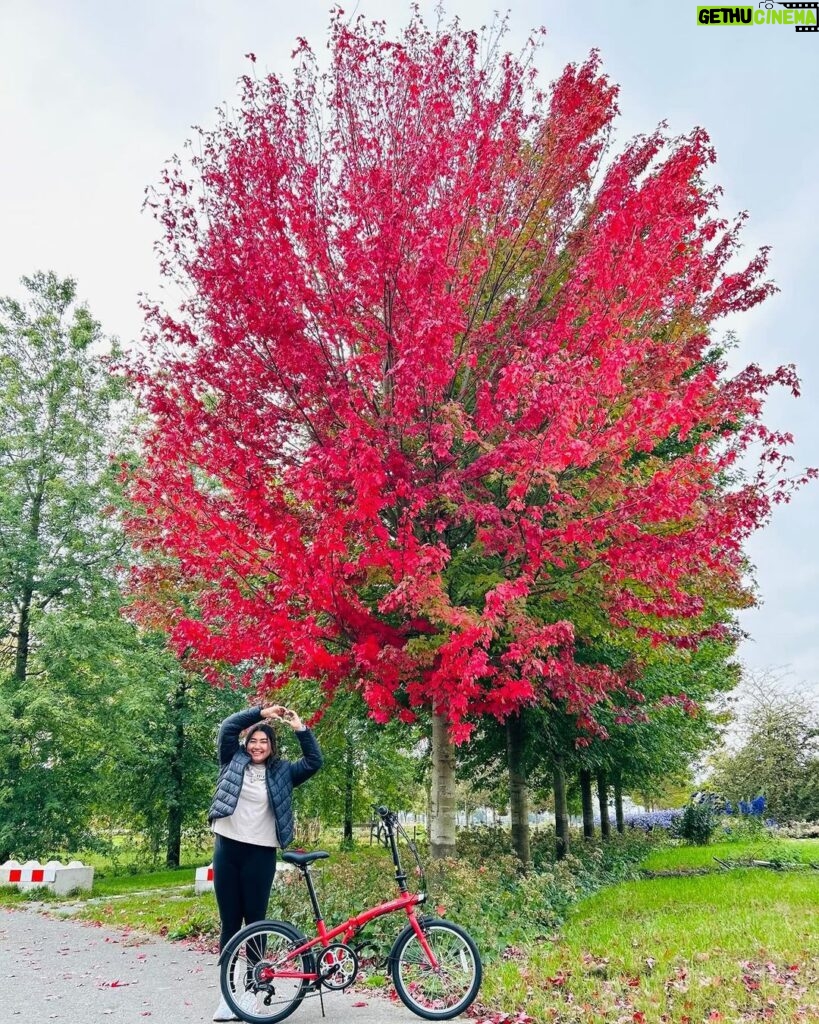 Grace Antony Instagram - Finding new leaves••🍁 . . . . #amsterdam #autumn #autumnvibes #autumnvibes🍁 #graceantony Amsterdam, Netherlands