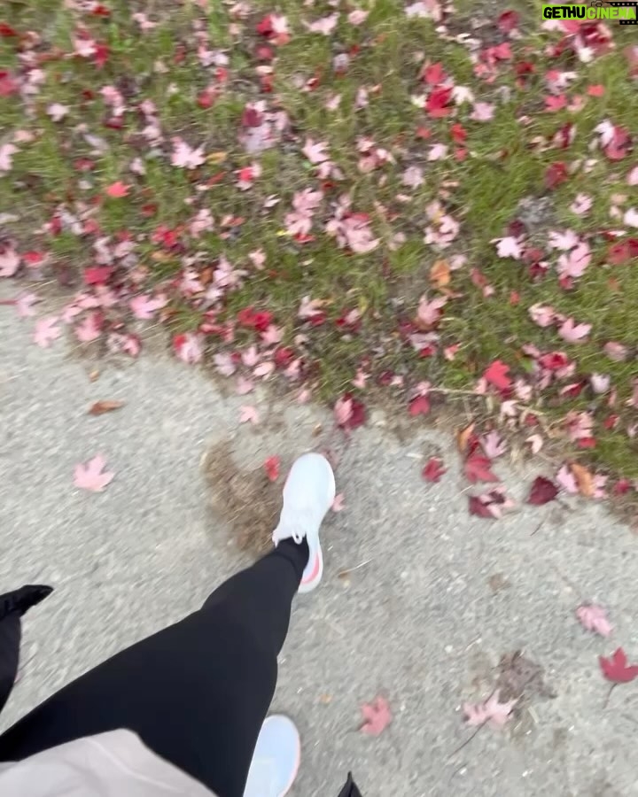Grace Antony - 78.1K Likes - Finding new leaves••🍁
.
.
.
.
#amsterdam #autumn #autumnvibes #autumnvibes🍁 #graceantony