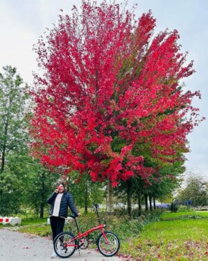 Grace Antony Instagram - Finding new leaves••🍁 
.
.
.
.
#amsterdam #autumn #autumnvibes #autumnvibes🍁 #graceantony
