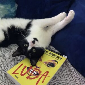 Grant Morrison Instagram - Just what IS it that makes this year’s most outrageous novel its most popular cat toy?

#LUDA is coming – SEPTEMBER 6, 2022  #magic #glamour #pantomime