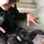Grant Morrison Instagram - Happy International Cat Day! #kittens #cats #internationalcatday #catdaddy #catsofinstagram #kittensofinstagram