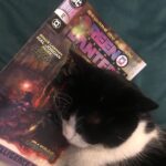 Grant Morrison Instagram - Discovered! The cure for feline insomnia! The finale of Green Lantern is out now... Grant, Liam and Hal say goodbye. #greenlantern #dccomics #ultrawar #goodbye