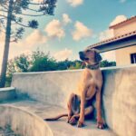 Gustavo Santos Instagram - Finais de tarde! Me, Ben & Us! Bom fim de semana!