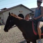 Hülya Gülşen Irmak Instagram – 🐺Kapadokya’nın balonundan atına üzümünden çekirdeğine neyi varsa tatmalı diyenlere gelsin🎈 Akalteke