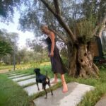 Hülya Gülşen Irmak Instagram - 🐕❤️ Gulet Tiny House Hotel