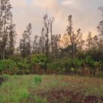 Hāwane Rios Instagram - morning pule and activation for palesetina 🤎 #freepalestine #pulenopalesetina Kingdom of the Hawaiian Islands