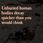 Hāwane Rios Instagram – amplifying the powerful words of my sis @sofiasamarah 

“When we learn about terrible things that happened in history, imagery of skulls and bones are always used to illustrate how truly barbaric the situation was. 

To illustrate the barbaric nature of the perpetrators. 

The perpetrators did not allow the dead to be buried. The perpetrators left the dead in the street. The perpetrators collected the dead into piles. The perpetrators did not think of or respect the bodies. The perpetrators were barbaric monsters who’s only purpose was to destroy. 

One day in the future, when people learn about Palestine, they’ll see the images of bones scattered across the streets, and the barbaric situation that allowed for these images to exist. 

One day in the future, when people learn about Palestine, they’ll ask us how this was able to happen. They’ll ask us why such barbarism occurred. They’ll ask us who the perpetrators were. 

And people like me will remember exactly how this happened. And which of you, all of you, said nothing, and did nothing, and let my people die.”
