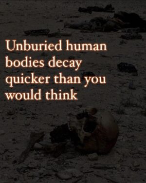 Hāwane Rios Instagram - amplifying the powerful words of my sis @sofiasamarah 

“When we learn about terrible things that happened in history, imagery of skulls and bones are always used to illustrate how truly barbaric the situation was. 

To illustrate the barbaric nature of the perpetrators. 

The perpetrators did not allow the dead to be buried. The perpetrators left the dead in the street. The perpetrators collected the dead into piles. The perpetrators did not think of or respect the bodies. The perpetrators were barbaric monsters who’s only purpose was to destroy. 

One day in the future, when people learn about Palestine, they’ll see the images of bones scattered across the streets, and the barbaric situation that allowed for these images to exist. 

One day in the future, when people learn about Palestine, they’ll ask us how this was able to happen. They’ll ask us why such barbarism occurred. They’ll ask us who the perpetrators were. 

And people like me will remember exactly how this happened. And which of you, all of you, said nothing, and did nothing, and let my people die.”
