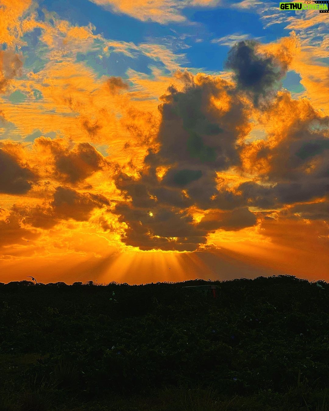 Hāwane Rios Instagram - i would wake up before sunrise to witness the night dance into day my elder Lani Ākau once told me that every sunrise and every sunset is unique like you like me not one is exactly the same so i drank every single one in as if it was my last because it would be the last time my eyes would see the light cast into the heavens unto the land unto the ahu that i built with my own hands as it wasn’t i drank it in like i drink awa with offerings first to the above between below and the ancestors that sit on my shoulders at my back and on my chest and then i place the apu of golden rays to my lips and i do not put it down until it is finished and then i cup my hands and clap twice and remember who i am thrice