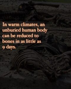 Hāwane Rios Instagram - amplifying the powerful words of my sis @sofiasamarah “When we learn about terrible things that happened in history, imagery of skulls and bones are always used to illustrate how truly barbaric the situation was. To illustrate the barbaric nature of the perpetrators. The perpetrators did not allow the dead to be buried. The perpetrators left the dead in the street. The perpetrators collected the dead into piles. The perpetrators did not think of or respect the bodies. The perpetrators were barbaric monsters who’s only purpose was to destroy. One day in the future, when people learn about Palestine, they’ll see the images of bones scattered across the streets, and the barbaric situation that allowed for these images to exist. One day in the future, when people learn about Palestine, they’ll ask us how this was able to happen. They’ll ask us why such barbarism occurred. They’ll ask us who the perpetrators were. And people like me will remember exactly how this happened. And which of you, all of you, said nothing, and did nothing, and let my people die.”