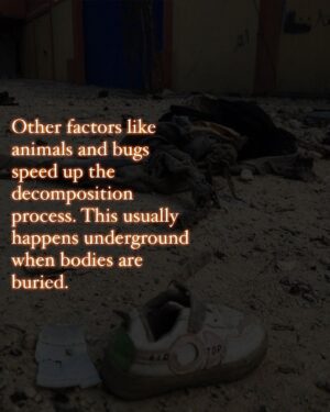 Hāwane Rios Instagram - amplifying the powerful words of my sis @sofiasamarah 

“When we learn about terrible things that happened in history, imagery of skulls and bones are always used to illustrate how truly barbaric the situation was. 

To illustrate the barbaric nature of the perpetrators. 

The perpetrators did not allow the dead to be buried. The perpetrators left the dead in the street. The perpetrators collected the dead into piles. The perpetrators did not think of or respect the bodies. The perpetrators were barbaric monsters who’s only purpose was to destroy. 

One day in the future, when people learn about Palestine, they’ll see the images of bones scattered across the streets, and the barbaric situation that allowed for these images to exist. 

One day in the future, when people learn about Palestine, they’ll ask us how this was able to happen. They’ll ask us why such barbarism occurred. They’ll ask us who the perpetrators were. 

And people like me will remember exactly how this happened. And which of you, all of you, said nothing, and did nothing, and let my people die.”